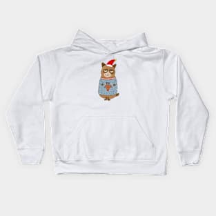 Cute Raccoon Christmas Kids Hoodie